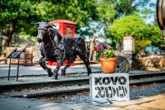 KOVOZOO